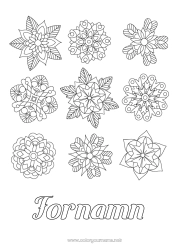 Gratis färgläggning Blommor Vinter Mandala Snöflingor Poinsettia - julstjärna