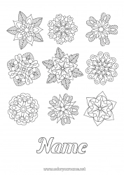 Coloring to customize Flowers Winter Mandala Snowflakes Poinsettia