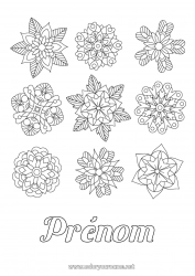 Coloriage gratuit Fleurs Hiver Mandala Flocons de neige Poinsettia