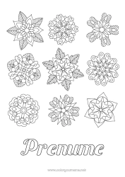 Pagină de colorat gratuită Flori Iarna Mandala Fulgi de zăpadă Poinsettia