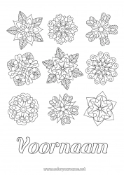 Gratis kleurplaat Bloemen Winter Mandala Sneeuwvlokken Kerstster