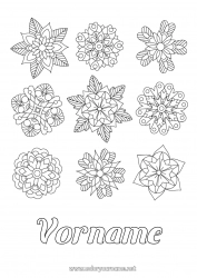 Kostenlose Malvorlage Blumen Winter Mandala Schneeflocken Weihnachtsstern