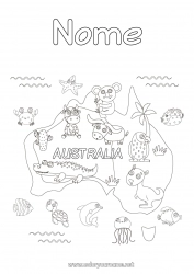 Desenho grátis Animal Coal Austrália Outros animais do mundo Canguru Mapa dos países