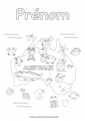 Coloriage à personnaliser Animal Koala Australie Autres animaux du monde Kangourou Carte des pays