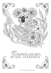 Gratis farvelægning Dyr Koala Zentangle Australien Andre dyr i verden