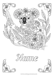 Free colouring Animal Koala Zentangle Australia Other animals of the world Animals of Australia