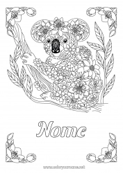 Desenho grátis Animal Coal Zentangle Austrália Outros animais do mundo