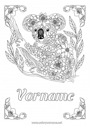 Malvorlage anpassen Tier Koala Zentangle Australien Andere Tiere der Welt