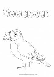 Kleurplaat aanpassen Dier Vogels en vliegende zoogdieren IJsland Papegaaiduiker