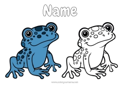 Free colouring Frog Animal Easy colouring pages Brazil Marine or aquatic animals Colouring with template