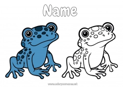 Free coloring Frog Animal Easy coloring pages Brazil Marine or aquatic animals Coloring with a Model