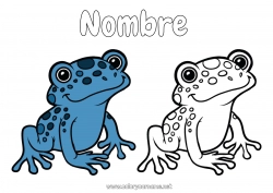 Colorear para personalizar Rana Animales Dibujos fáciles para colorear Brasil Animales marinos o acuáticos Colorear con Modelo