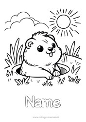 Colouring to customise Sun Animal Forest Animals Marmot Groundhog Day