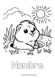 Colorear para personalizar Sol Animales del bosque Marmota Día de la Marmota