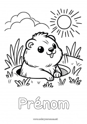 Coloriage gratuit Soleil Animaux de la forêt Marmotte Jour de la Marmotte