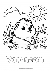 Gratis kleurplaat Zon Bosdieren Marmot Groundhog Day (Dag van de Marmot)