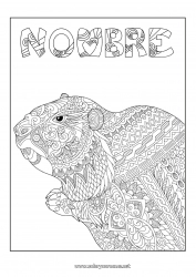 Colorear para personalizar Dibujos complejos para colorear Zentangle Animales del bosque Marmota Día de la Marmota