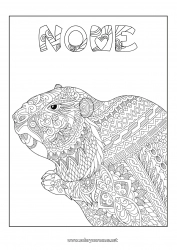 Disegno gratuito Animale Colorazioni complesse Zentangle Animali della foresta Marmotta Giorno della Marmotta