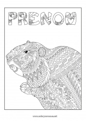 Coloriage à personnaliser Coloriages complexes Zentangle Animaux de la forêt Marmotte Jour de la Marmotte