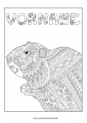 Kostenlose Malvorlage Tier Komplexe Ausmalbilder Zentangle Waldtiere Murmeltier Murmeltiertag