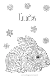 Kolorowanka za darmo Zając Płatki śniegu Zwierzę Zentangle Zwierzęta leśne