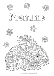 Pagină de colorat personalizată Iepure Fulgi de zăpadă Animal Zentangle Animale din pădure