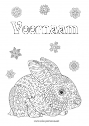 Gratis kleurplaat Konijn Sneeuwvlokken Zentangle Bosdieren