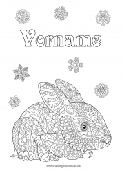 Kostenlose Zeichnung Hase Schneeflocken Zentangle Waldtiere