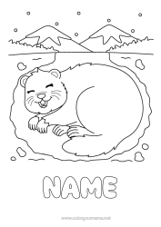 Free drawing Animal Forest animals Groundhog Groundhog Day Burrows