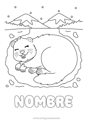 Colorear para personalizar Animales Animales del bosque Marmota Día de la Marmota Madrigueras
