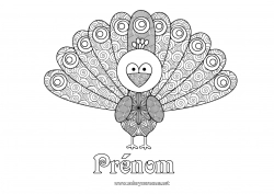Coloriage à personnaliser Animal Paon Zentangle Oiseaux et mammifères volants