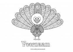 Gratis kleurplaat Dier Pauw Zentangle Vogels en vliegende zoogdieren