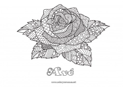 Página de desenho infantil Rosa Colorações Complexas Zentangle Sant Jordi ou São Jorge