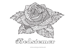 Gratis farvelægning Rose Komplekse farvelægninger Zentangle Sant Jordi eller Sankt Georg