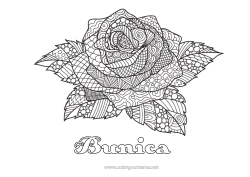 Pagină de colorat gratuită Trandafir Desene de colorat complexe Zentangle Sant Jordi sau Sfântul Gheorghe
