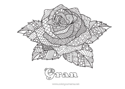 Free colouring Rose Complex colouring pages Zentangle Saint George
