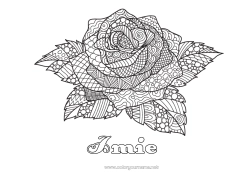 Rysunek za darmo Róża Złożone kolorowanki Zentangle Święty Jerzy
