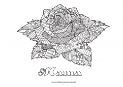 Kinder-Malvorlage Rose Komplexe Ausmalbilder Zentangle Sant Jordi oder Sankt Georg