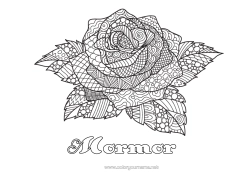 Gratis färgläggning Ros Komplexa målarbilder Zentangle Sant Jordi eller Sankt Göran