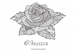 Free coloring Rose Complex coloring pages Zentangle Saint George