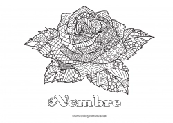 Colorear gratis Rosa Dibujos complejos para colorear Zentangle Sant Jordi