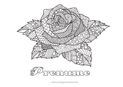 Pagină de colorat personalizată Trandafir Desene de colorat complexe Zentangle Sant Jordi sau Sfântul Gheorghe