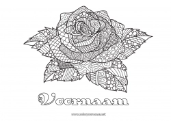 Gratis tekening Roos Complex Kleurplaten Zentangle Sant Jordi of Sint-Joris