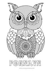 Gratis farvelægning Ugle, Hornugle Dyr Komplekse farvelægninger Zentangle Fugle og flyvende pattedyr