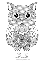 Kolorowanka za darmo Sowa, Puszczyk Zwierzę Złożone kolorowanki Zentangle Ptaki i latające ssaki