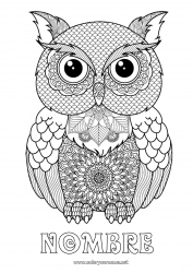 Dibujo libre Búho Animales Dibujos complejos para colorear Zentangle Aves y mamíferos voladores