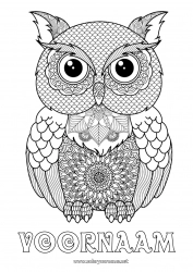 Gratis tekening Uil, Kerkuil Dier Complex Kleurplaten Zentangle Vogels en vliegende zoogdieren