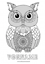 Kostenlose Zeichnung Eule, Uhu Tier Komplexe Ausmalbilder Zentangle Vögel und fliegende Säugetiere