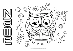 Free colouring Winter Gifts Christmas Owl, Tawny owl Birds and flying mammals