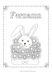 Gratis färgläggning Blommor Kanin Djur Kuvert Skogens djur